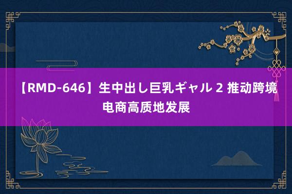 【RMD-646】生中出し巨乳ギャル 2 推动跨境电商高质地发展