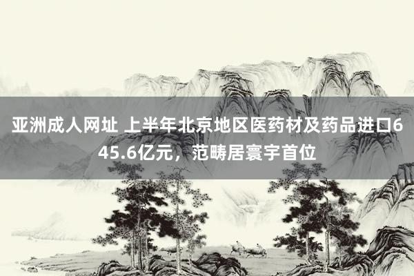 亚洲成人网址 上半年北京地区医药材及药品进口645.6亿元，范畴居寰宇首位