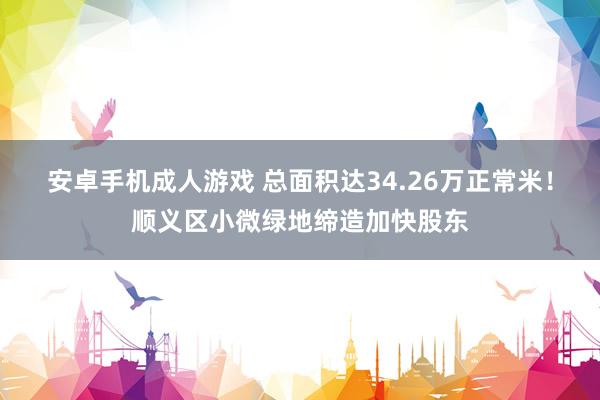 安卓手机成人游戏 总面积达34.26万正常米！顺义区小微绿地缔造加快股东