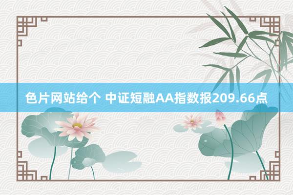 色片网站给个 中证短融AA指数报209.66点