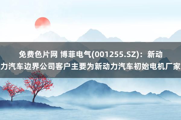 免费色片网 博菲电气(001255.SZ)：新动力汽车边界公司客户主要为新动力汽车初始电机厂家