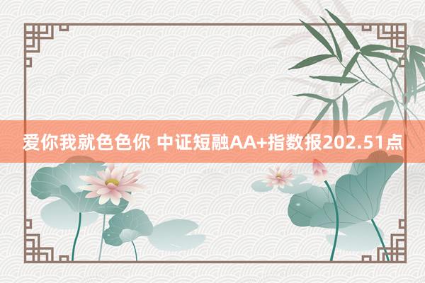 爱你我就色色你 中证短融AA+指数报202.51点