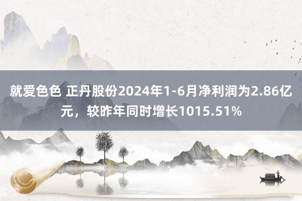 就爱色色 正丹股份2024年1-6月净利润为2.86亿元，较昨年同时增长1015.51%