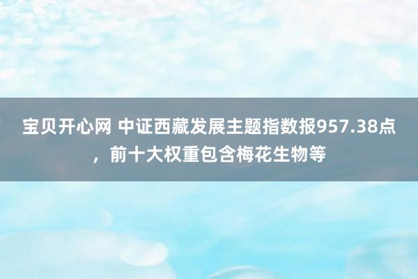 宝贝开心网 中证西藏发展主题指数报957.38点，前十大权重包含梅花生物等