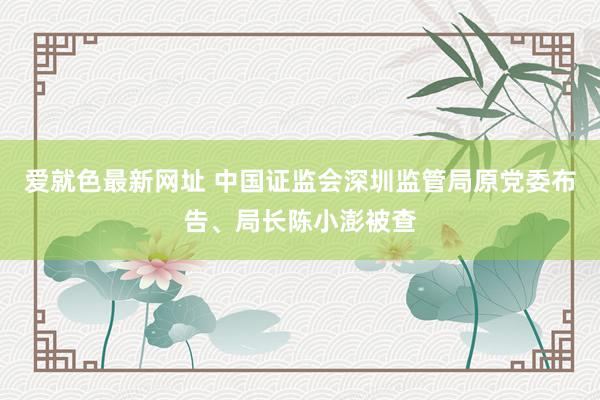 爱就色最新网址 中国证监会深圳监管局原党委布告、局长陈小澎被查