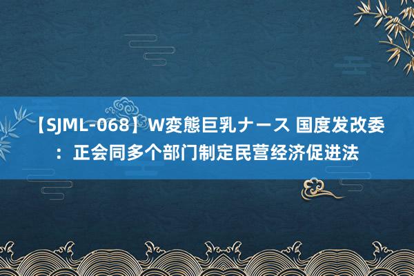 【SJML-068】W変態巨乳ナース 国度发改委：正会同多个部门制定民营经济促进法