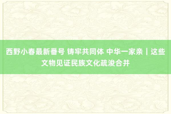 西野小春最新番号 铸牢共同体 中华一家亲｜这些文物见证民族文化疏浚合并