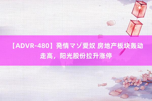 【ADVR-480】発情マゾ愛奴 房地产板块轰动走高，阳光股份拉升涨停