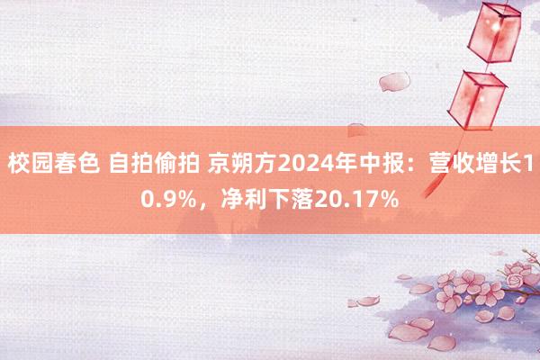 校园春色 自拍偷拍 京朔方2024年中报：营收增长10.9%，净利下落20.17%