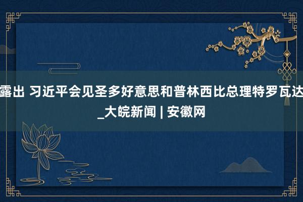 露出 习近平会见圣多好意思和普林西比总理特罗瓦达_大皖新闻 | 安徽网