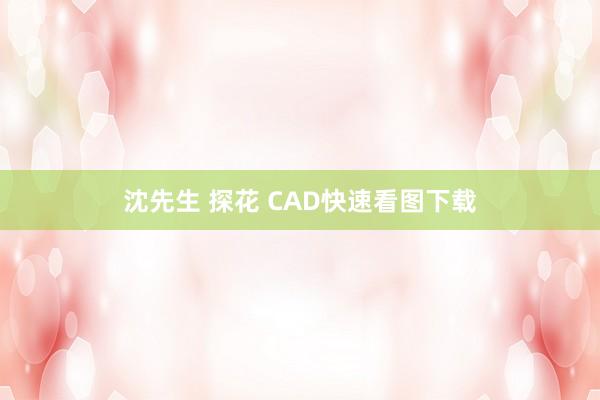 沈先生 探花 CAD快速看图下载