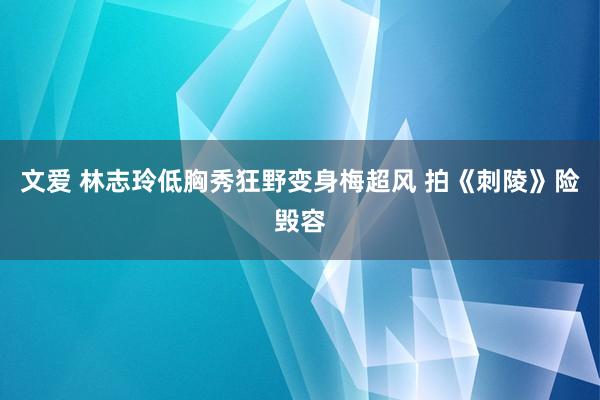 文爱 林志玲低胸秀狂野变身梅超风 拍《刺陵》险毁容