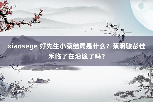 xiaosege 好先生小蔡结局是什么？蔡明骏彭佳禾临了在沿途了吗？