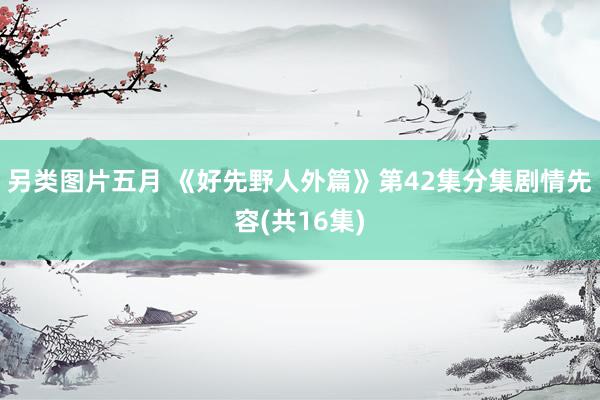 另类图片五月 《好先野人外篇》第42集分集剧情先容(共16集)