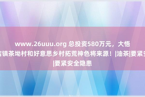 www.26uuu.org 总投资580万元，大悟县宣化店镇茶坳村和好意思乡村拓荒神色将来源！|油茶|要紧安全隐患