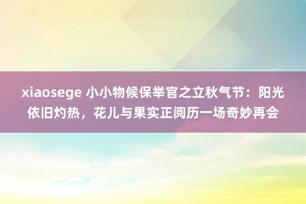 xiaosege 小小物候保举官之立秋气节：阳光依旧灼热，花儿与果实正阅历一场奇妙再会