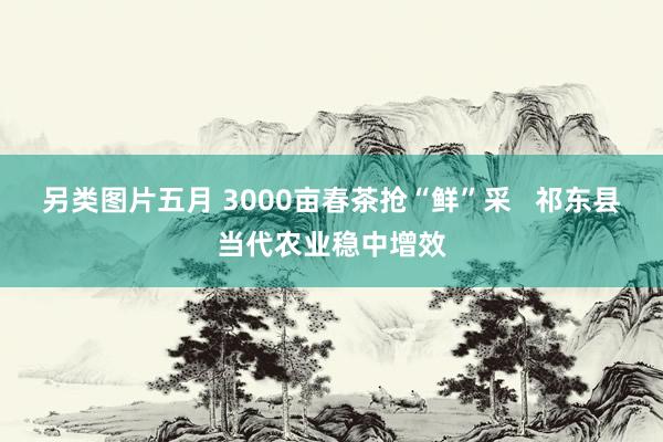 另类图片五月 3000亩春茶抢“鲜”采   祁东县当代农业稳中增效